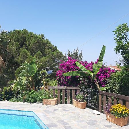 Villa Suites Lagonisi Luxury المظهر الخارجي الصورة