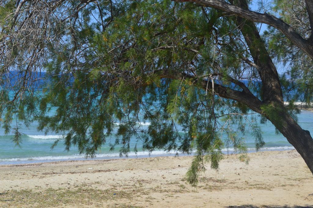 Villa Suites Lagonisi Luxury المظهر الخارجي الصورة