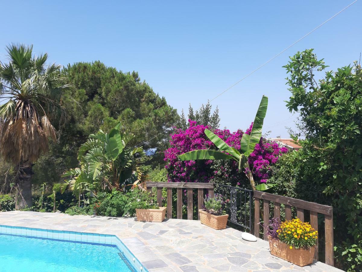 Villa Suites Lagonisi Luxury المظهر الخارجي الصورة